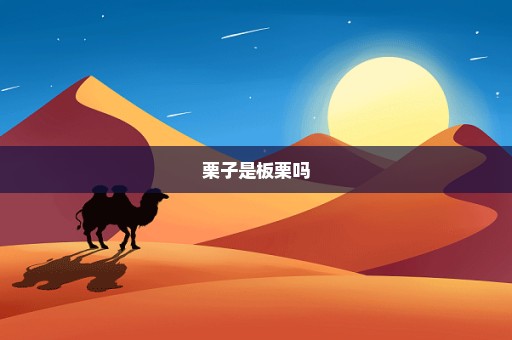 栗子是板栗吗
