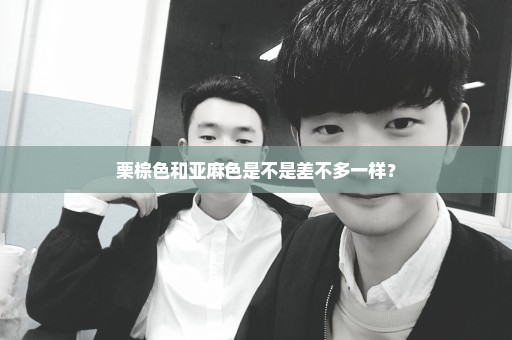 栗棕色和亚麻色是不是差不多一样？