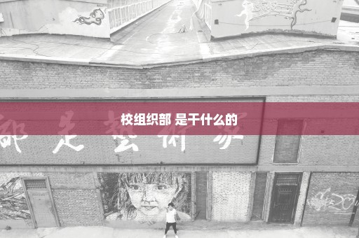 校组织部 是干什么的