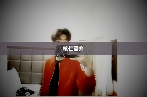 核仁简介