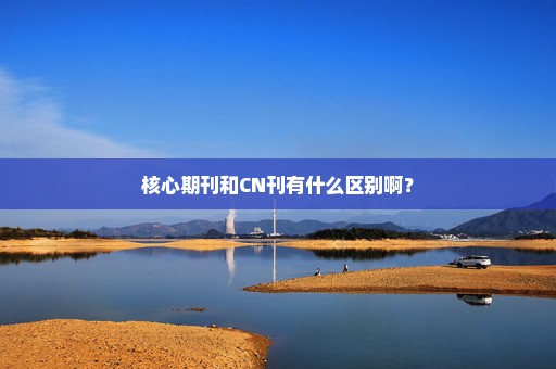 核心期刊和CN刊有什么区别啊？