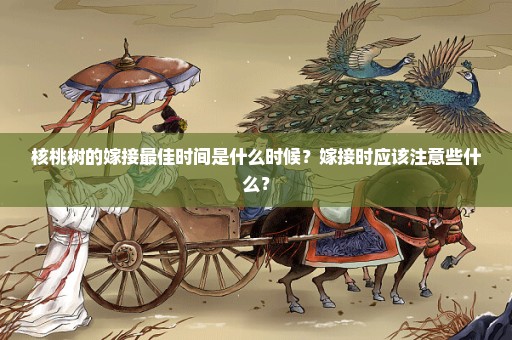 核桃树的嫁接最佳时间是什么时候？嫁接时应该注意些什么？