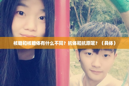 核糖和核糖体有什么不同？抗体和抗原呢？（具体）