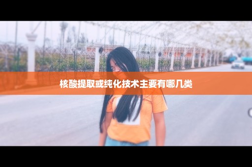 核酸提取或纯化技术主要有哪几类