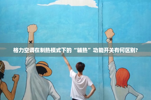 格力空调在制热模式下的“辅热”功能开关有何区别?