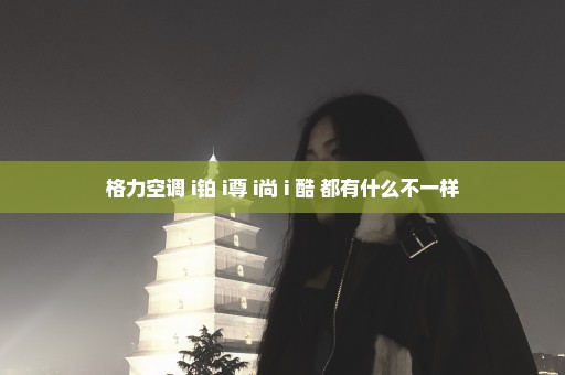 格力空调 i铂 i尊 i尚 i 酷 都有什么不一样