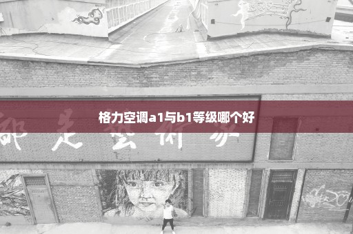 格力空调a1与b1等级哪个好