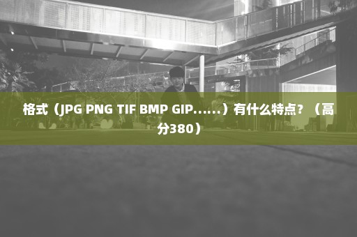 格式（JPG PNG TIF BMP GIP……）有什么特点？（高分380）