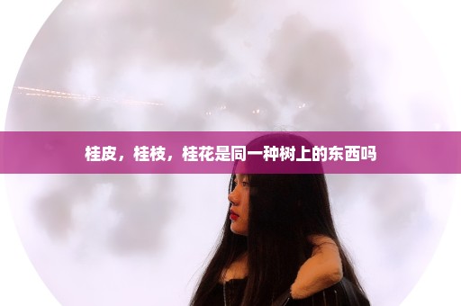 桂皮，桂枝，桂花是同一种树上的东西吗
