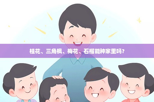 桂花、三角枫、梅花、石榴能种家里吗？