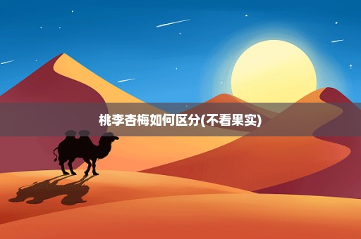桃李杏梅如何区分(不看果实)