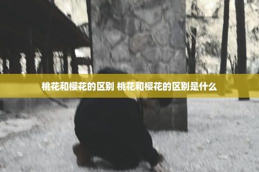 桃花和樱花的区别 桃花和樱花的区别是什么