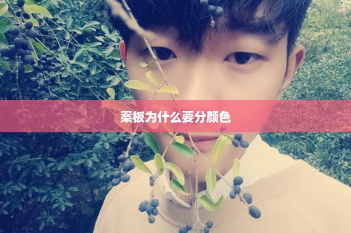 案板为什么要分颜色