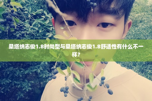 桑塔纳志俊1.8时尚型与桑塔纳志俊1.8舒适性有什么不一样？