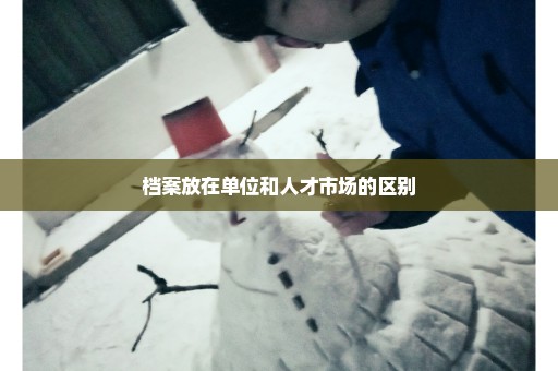 档案放在单位和人才市场的区别