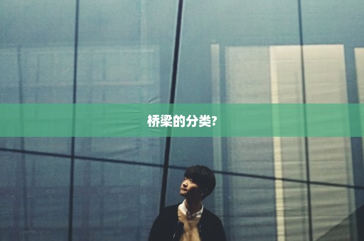 桥梁的分类?