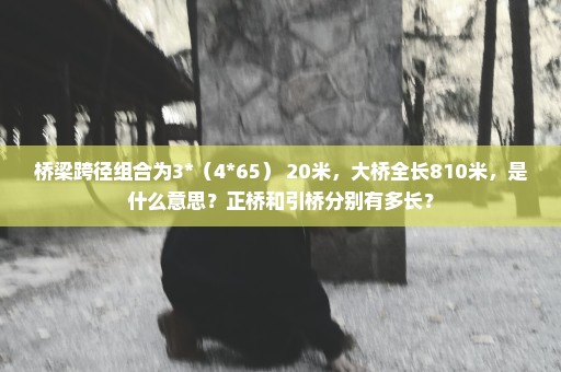 桥梁跨径组合为3*（4*65）+20米，大桥全长810米，是什么意思？正桥和引桥分别有多长？