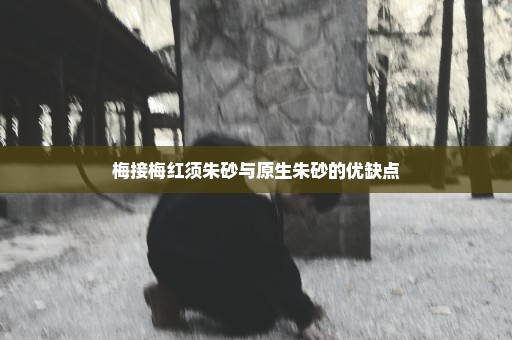 梅接梅红须朱砂与原生朱砂的优缺点