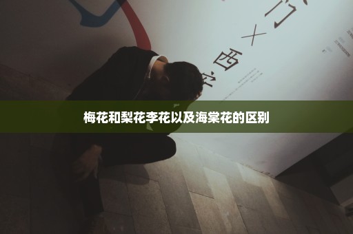 梅花和梨花李花以及海棠花的区别