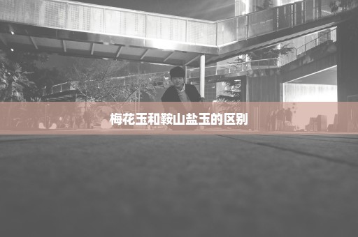 梅花玉和鞍山盐玉的区别