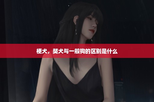 梗犬，獒犬与一般狗的区别是什么