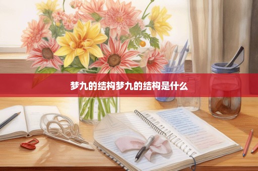 梦九的结构梦九的结构是什么