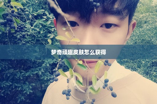 梦奇顽趣皮肤怎么获得