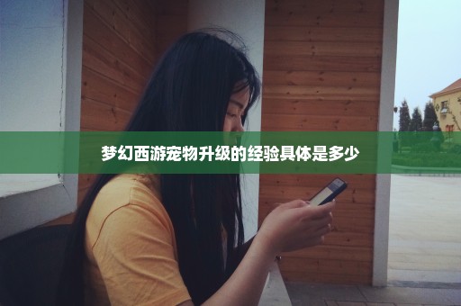 梦幻西游宠物升级的经验具体是多少