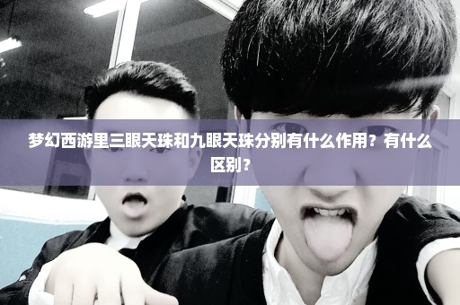 梦幻西游里三眼天珠和九眼天珠分别有什么作用？有什么区别？