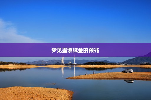 梦见墨紫绒金的预兆