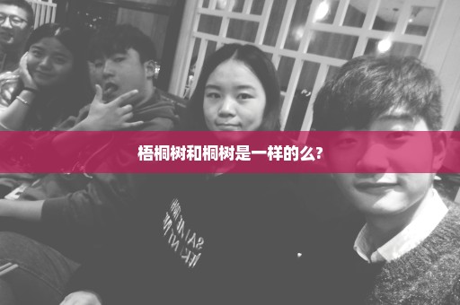 梧桐树和桐树是一样的么?