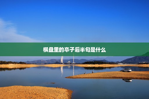 棋盘里的卒子后半句是什么