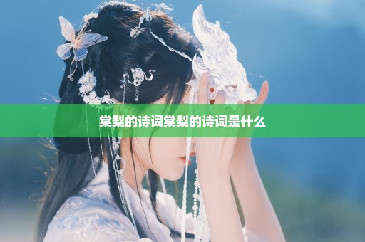 棠梨的诗词棠梨的诗词是什么