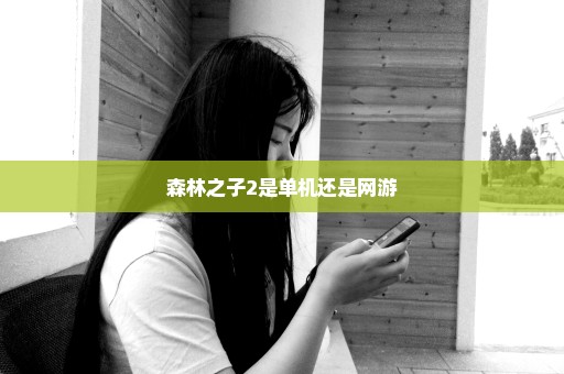 森林之子2是单机还是网游