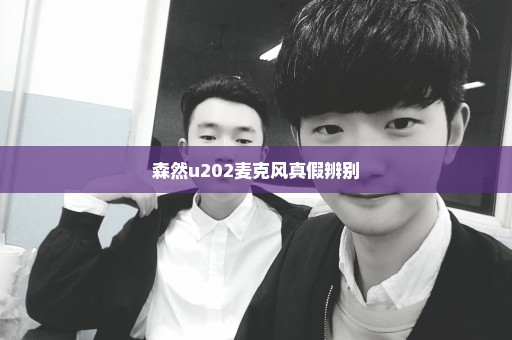 森然u202麦克风真假辨别