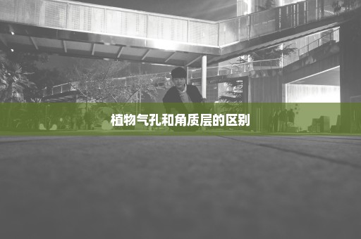 植物气孔和角质层的区别
