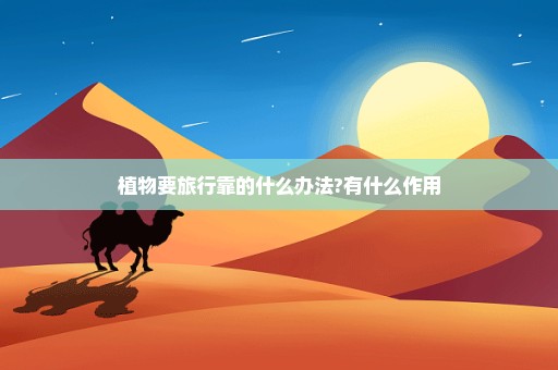 植物要旅行靠的什么办法?有什么作用