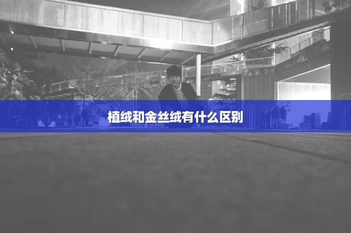 植绒和金丝绒有什么区别