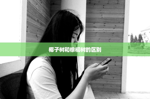 椰子树和棕榈树的区别