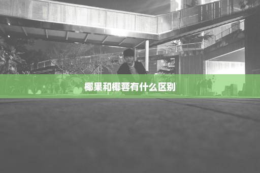 椰果和椰蓉有什么区别