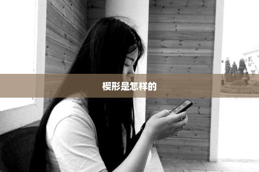 楔形是怎样的