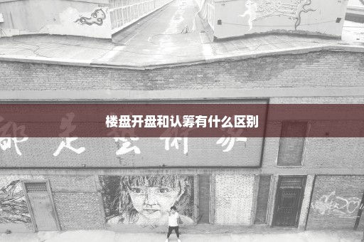 楼盘开盘和认筹有什么区别