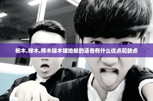 榆木,榉木,桦木橡木铺地板的话各有什么优点和缺点