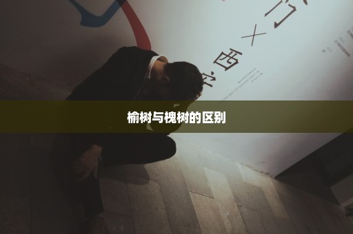 榆树与槐树的区别