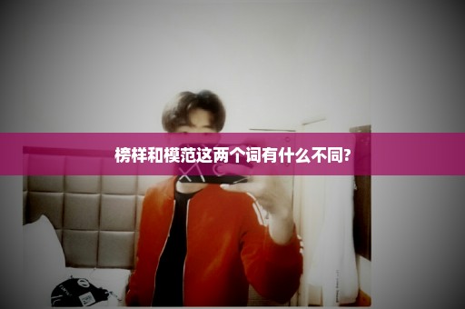 榜样和模范这两个词有什么不同?