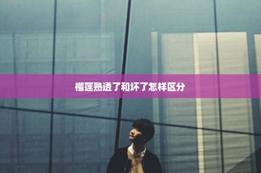 榴莲熟透了和坏了怎样区分