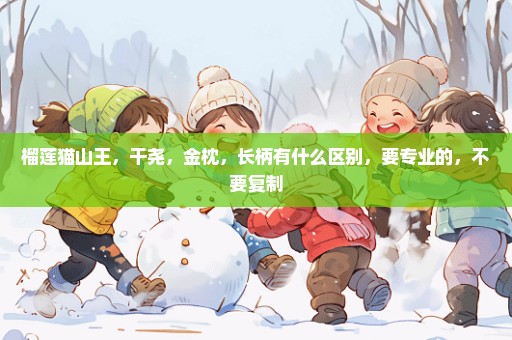 榴莲猫山王，干尧，金枕，长柄有什么区别，要专业的，不要复制