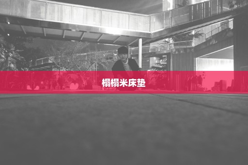榻榻米床垫