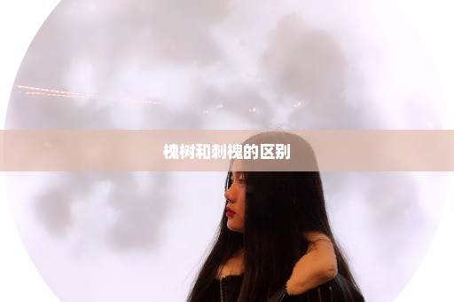 槐树和刺槐的区别