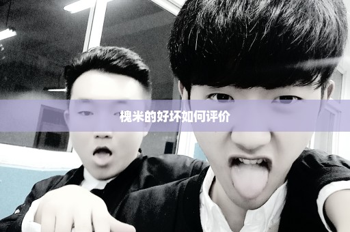 槐米的好坏如何评价